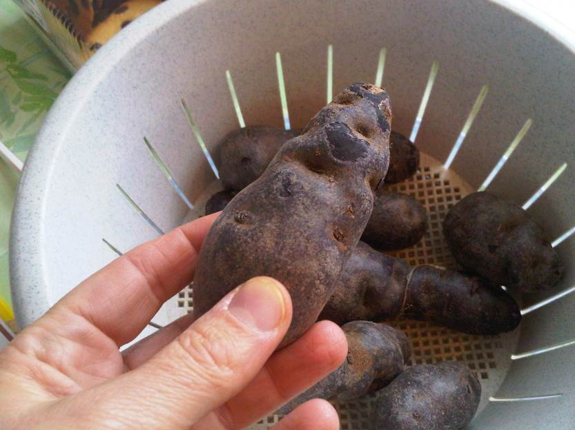 IMG00084-20110914-1741